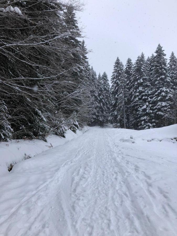Studio Fondue Chocolat, 100M Des Pistes Wifi Fibre, Parking Prive Bernex Exterior photo